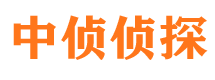 武平市侦探公司